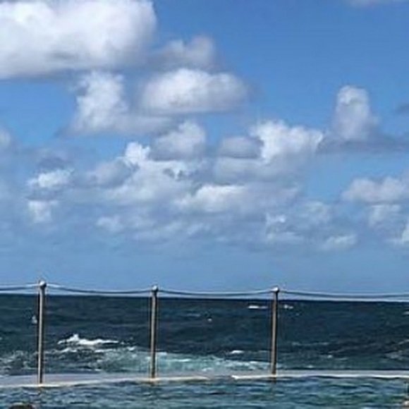 Meet your Posher, Selena - Picture 1 of 1